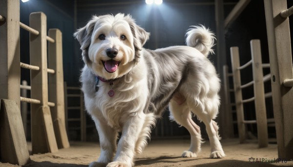 The wonder of a dog in a peaceful dynamic scene