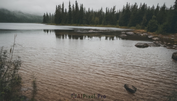 outdoors,sky,day,cloud,water,tree,no humans,grass,nature,scenery,forest,reflection,rock,mountain,road,river,landscape,lake,grey sky,cloudy sky,log,overcast