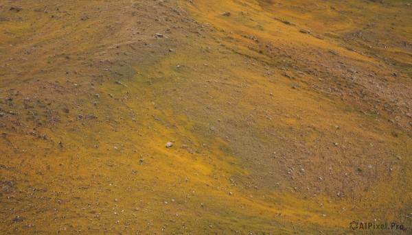 outdoors,sky,no humans,traditional media,nature,scenery,sand,field,from above,road,yellow theme,orange theme,desert