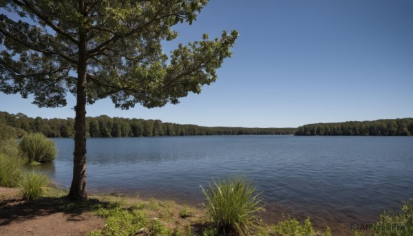 outdoors,sky,day,water,tree,blue sky,no humans,shadow,grass,plant,nature,scenery,forest,mountain,horizon,river,landscape,lake,ocean,shore