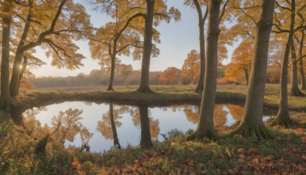 A refreshing image of a landscape in sunset day