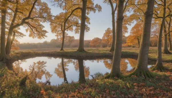 outdoors,sky,day,water,tree,blue sky,no humans,leaf,sunlight,grass,nature,scenery,forest,reflection,autumn leaves,maple leaf,river,autumn,landscape,lake,plant,sunset,reflective water