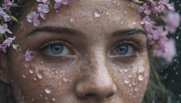 A stunning view of a male in cherry blossoms