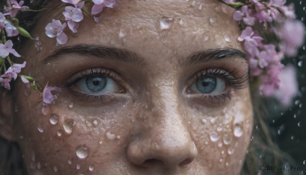 solo, blue eyes, brown hair, 1boy, flower, male focus, blurry, lips, petals, eyelashes, looking away, thick eyebrows, cherry blossoms, portrait, close-up, water drop, realistic, eye focus