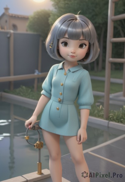 1girl,solo,looking at viewer,smile,short hair,bangs,brown hair,dress,holding,brown eyes,jewelry,closed mouth,standing,short sleeves,grey hair,outdoors,sky,day,blunt bangs,water,blurry,tree,lips,bare legs,buttons,depth of field,blurry background,feet out of frame,blue dress,short dress,moon,child,fence,collared dress,female child,shirt,black hair,hair ornament,puffy sleeves,nail polish,loli,bottomless,sunlight,thick eyebrows,sun