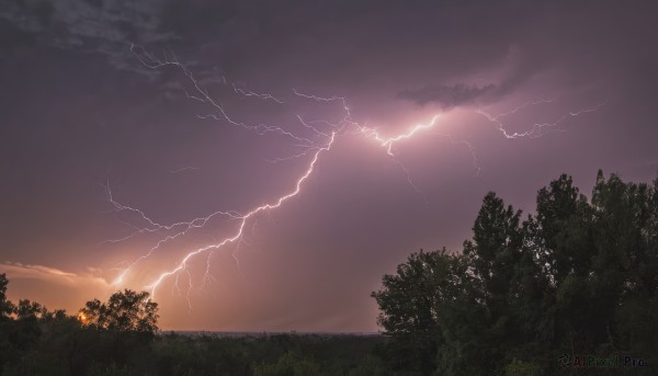 outdoors,sky,cloud,tree,no humans,cloudy sky,grass,nature,scenery,forest,sunset,electricity,lightning,dark