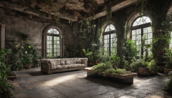 day,indoors,no humans,window,chair,sunlight,plant,scenery,couch,tiles,potted plant,tile floor,ruins,vines,pillar,moss,overgrown,bed,wall