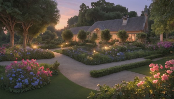 A garden showcased in a vivid sunset outdoors