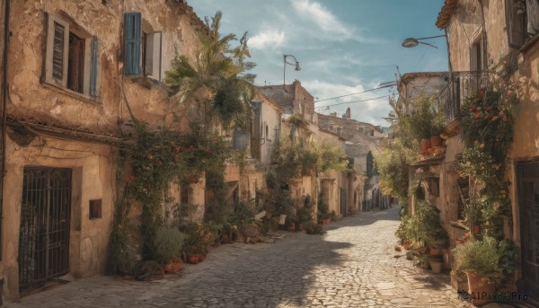 A peaceful day with a street