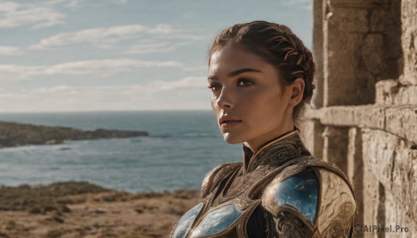 1girl,solo,looking at viewer,short hair,brown hair,brown eyes,upper body,braid,outdoors,parted lips,sky,day,cloud,water,hair bun,armor,blurry,blue sky,lips,blurry background,ocean,portrait,breastplate,realistic,nose,jewelry,earrings,dark skin,from side,dark-skinned female,beach,cloudy sky,shoulder armor,pauldrons,sand,horizon