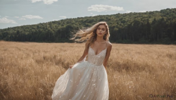 1girl,solo,long hair,breasts,looking at viewer,blonde hair,large breasts,brown hair,dress,cleavage,bare shoulders,brown eyes,jewelry,medium breasts,standing,collarbone,earrings,outdoors,sky,sleeveless,day,cloud,necklace,white dress,blurry,blue sky,lips,see-through,floating hair,sleeveless dress,blurry background,cloudy sky,wind,nature,scenery,realistic,skirt hold,red lips,field,blue eyes,parted lips,mole,tree,looking to the side,forest,spaghetti strap,mole on cheek