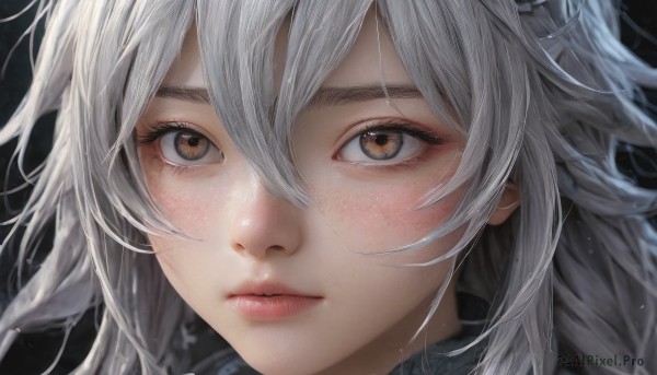 1girl,solo,long hair,looking at viewer,blush,bangs,simple background,hair between eyes,brown eyes,closed mouth,braid,white hair,grey hair,lips,eyelashes,black background,portrait,close-up,freckles,realistic,nose,yellow eyes,expressionless,messy hair