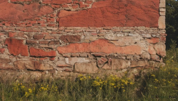 flower,outdoors,no humans,traditional media,grass,plant,scenery,rock,yellow flower,painting (medium),wall,brick wall,stone wall,brick,day,ruins