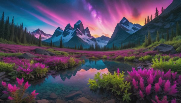 flower, outdoors, sky, cloud, water, tree, no humans, night, grass, star (sky), nature, night sky, scenery, forest, starry sky, reflection, rock, mountain, landscape, lake, purple sky, aurora