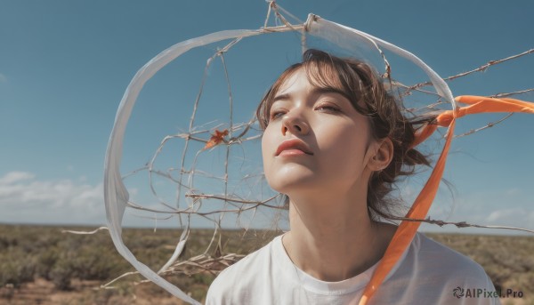 1girl,solo,short hair,blue eyes,brown hair,shirt,white shirt,upper body,outdoors,parted lips,sky,day,cloud,blurry,blue sky,lips,depth of field,blurry background,bug,looking up,portrait,realistic,nose,dragonfly,bangs,brown eyes,wind,scenery