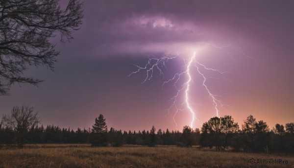 A delightful capture of a lightning within sunset outdoors