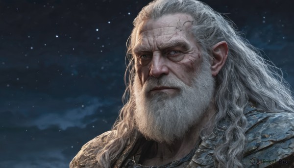 solo,long hair,looking at viewer,blue eyes,1boy,closed mouth,upper body,white hair,male focus,outdoors,sky,pointy ears,cloud,armor,night,facial hair,scar,shoulder armor,portrait,star (sky),night sky,beard,scar on face,starry sky,realistic,scar across eye,manly,old,old man,lips,grey eyes,nose,wrinkled skin