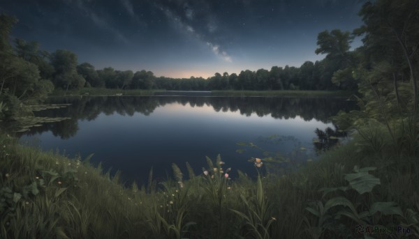 flower,outdoors,sky,cloud,water,tree,no humans,night,grass,plant,star (sky),nature,night sky,scenery,forest,starry sky,reflection,sunset,lake,river,landscape,reflective water