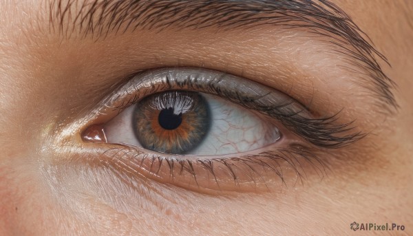 solo,looking at viewer,brown eyes,eyelashes,no humans,traditional media,close-up,1other,reflection,realistic,eye focus,1boy,male focus,colored sclera,one-eyed,brown theme