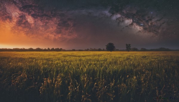 outdoors,sky,cloud,tree,no humans,night,cloudy sky,grass,plant,star (sky),nature,night sky,scenery,starry sky,sunset,dark,field,twilight,evening,gradient sky,hill,landscape