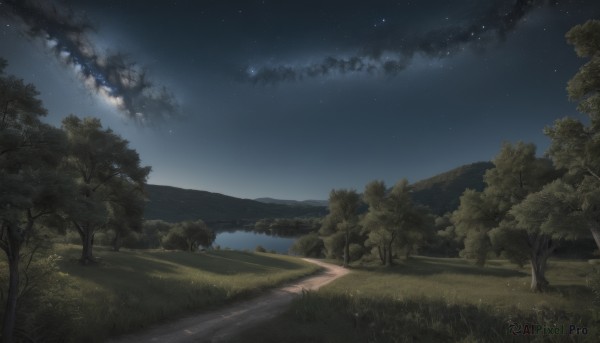 The serene presence of a landscape in a lush outdoors
