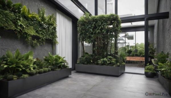 outdoors,day,indoors,tree,no humans,window,plant,building,scenery,sign,door,potted plant,bush,sky,cloud,leaf,tiles