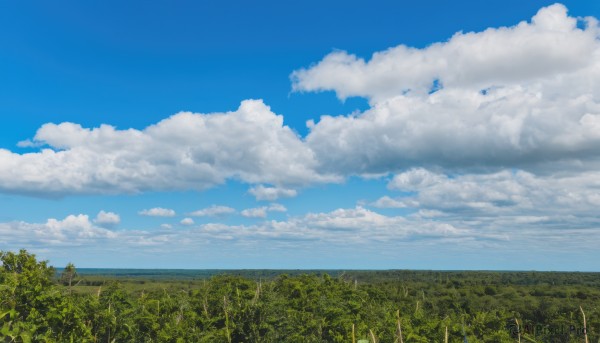 outdoors,sky,day,cloud,tree,blue sky,no humans,cloudy sky,grass,plant,nature,scenery,forest,horizon,field,summer,landscape