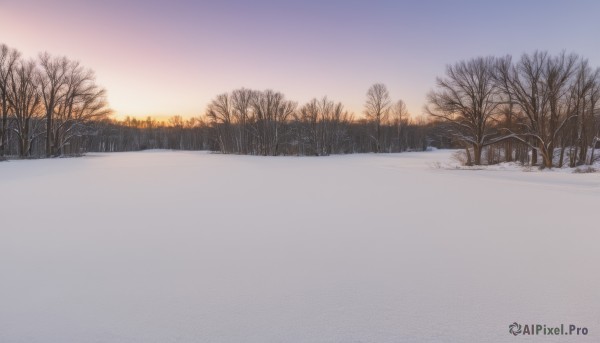 outdoors,sky,tree,no humans,nature,scenery,snow,forest,sunset,mountain,sun,winter,bare tree,gradient sky,sunrise,cloud,blue sky,watermark,grass,web address,road