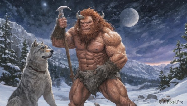 solo,long hair,brown hair,1boy,navel,holding,animal ears,nipples,weapon,male focus,thighs,outdoors,horns,sky,teeth,pointy ears,cloud,holding weapon,tree,muscular,night,feet out of frame,facial hair,animal,scar,thick thighs,abs,moon,pectorals,muscular male,star (sky),nature,night sky,bara,beard,furry,snow,full moon,forest,starry sky,large pectorals,veins,topless male,dog,snowing,mountain,mature male,furry male,axe,manly,winter,fur,loincloth,biceps,wolf,holding axe,tusks,pine tree,minotaur,veiny arms,standing,stomach,orange hair,piercing,polearm,clenched teeth,rock,holding polearm,chest hair,navel hair,brown fur,hairy,battle axe