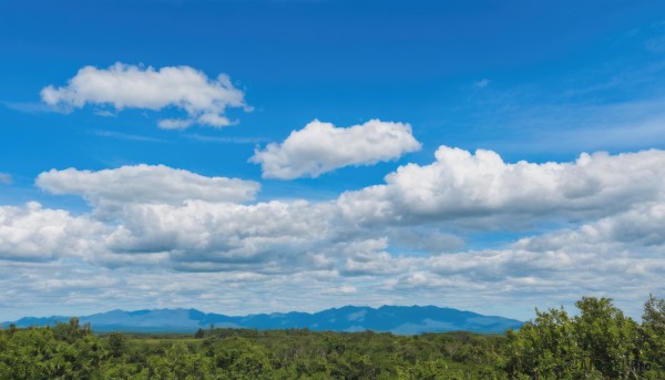 outdoors,sky,day,cloud,tree,blue sky,no humans,cloudy sky,grass,nature,scenery,forest,mountain,landscape,mountainous horizon,hill