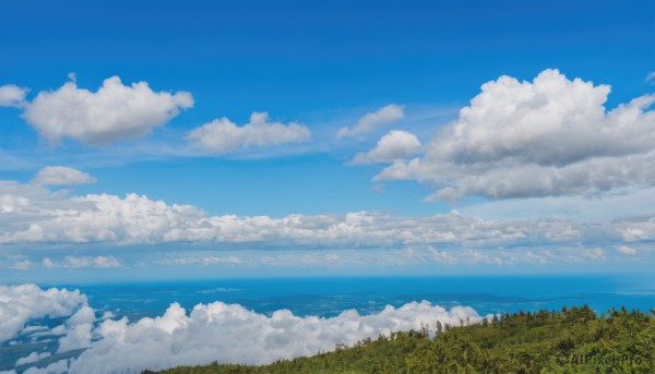 outdoors,sky,day,cloud,water,tree,blue sky,no humans,ocean,cloudy sky,grass,nature,scenery,forest,horizon,field,summer,landscape