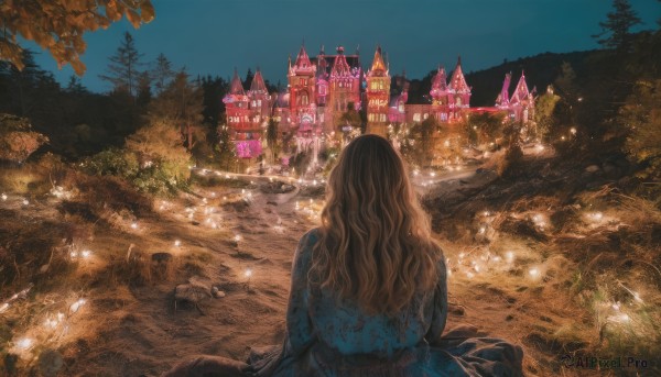 1girl,solo,long hair,brown hair,sitting,outdoors,sky,water,from behind,tree,night,wavy hair,grass,building,star (sky),nature,night sky,scenery,forest,fantasy,facing away,road,river,castle,rock,landscape,lake