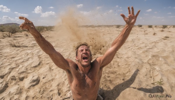 solo,open mouth,black hair,1boy,nipples,closed eyes,male focus,outdoors,sky,day,cloud,dark skin,arms up,blue sky,shadow,facial hair,parody,piercing,dark-skinned male,meme,topless male,realistic,sand,desert,brown hair,upper body,teeth,armpits,muscular,outstretched arms,rock,manly,dirty,chest hair,shouting,armpit hair,screaming,dust