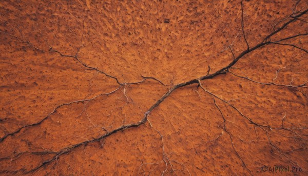 outdoors,no humans,traditional media,scenery,wall,crack,orange theme,monochrome,from above,cracked floor