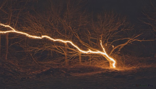 outdoors,tree,no humans,grass,nature,scenery,forest,branch,electricity,bare tree,lightning,orange theme,solo,sitting,monochrome,from side,glowing,plant,black background,silhouette,dark,yellow theme