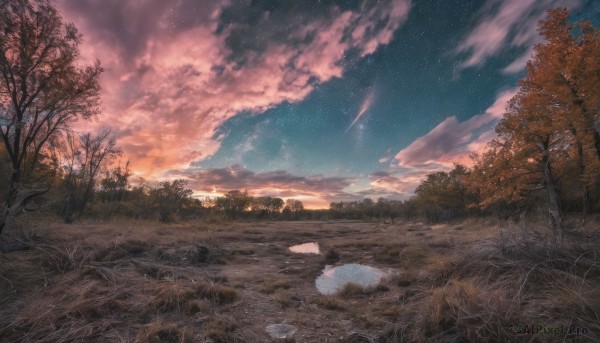 outdoors,sky,cloud,water,tree,no humans,night,cloudy sky,grass,star (sky),nature,night sky,scenery,forest,starry sky,reflection,sunset,road,bare tree,river,twilight,evening,puddle,gradient sky,shooting star,reflective water,signature,rock,landscape,path