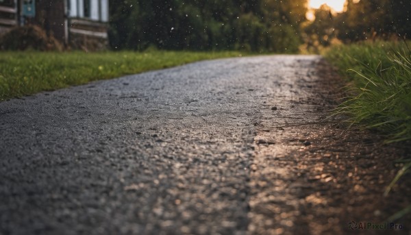 outdoors,day,blurry,tree,no humans,depth of field,sunlight,grass,plant,building,nature,scenery,road,bush,path,window,blurry background,ground vehicle,light particles,street,pavement