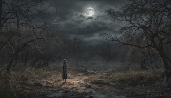 1girl,solo,short hair,brown hair,standing,outdoors,sky,cloud,water,from behind,tree,night,moon,cloudy sky,grass,nature,night sky,scenery,full moon,forest,dark,bare tree,fog,dress,road,wide shot,lamppost,path