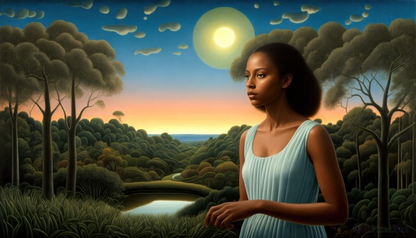 HQ,1girl,solo,short hair,black hair,dress,upper body,outdoors,sky,sleeveless,cloud,dark skin,water,white dress,dark-skinned female,tree,lips,moon,grass,nature,scenery,sunset,nose,sun,very dark skin,breasts,brown eyes,curly hair