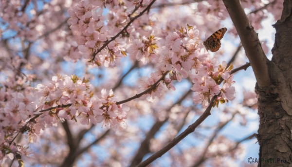 A butterfly amidst a idyllic day