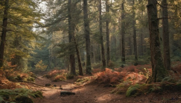 A unique subject in the heart of a peaceful outdoors