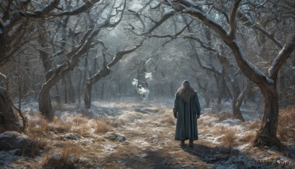 1girl,long sleeves,1boy,standing,white hair,male focus,outdoors,hood,from behind,tree,coat,fur trim,nature,scenery,snow,1other,forest,rock,snowing,facing away,winter,bare tree,ambiguous gender,solo,wings,night,bird,ghost,wide shot