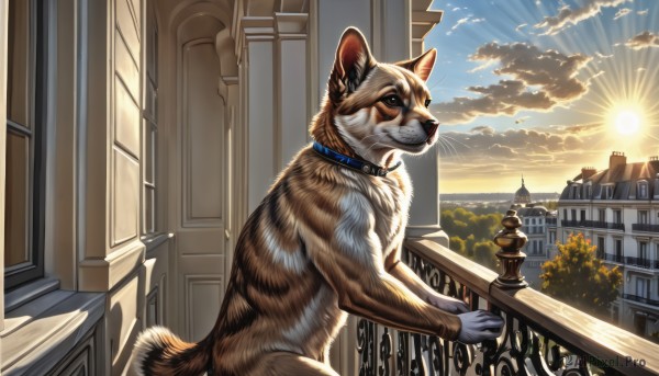 solo,looking at viewer,smile,blue eyes,closed mouth,outdoors,sky,day,cloud,collar,tree,no humans,window,bird,animal,sunlight,cat,cloudy sky,building,scenery,sunset,stairs,railing,sun,animal focus,whiskers,sunrise,balcony,blue sky,dog,city,realistic,cityscape