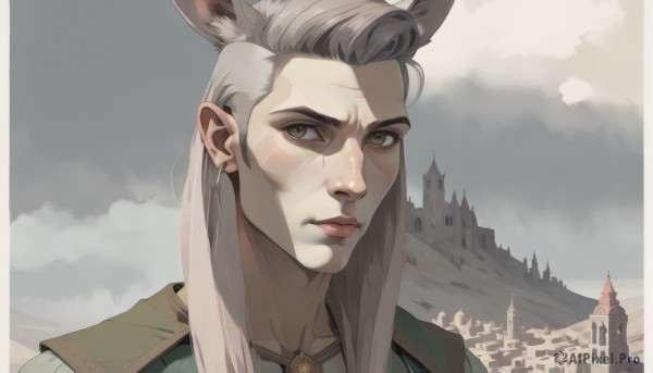 solo,long hair,looking at viewer,1boy,animal ears,brown eyes,jewelry,closed mouth,yellow eyes,grey hair,male focus,earrings,outdoors,sky,day,cloud,lips,scar,facial mark,cloudy sky,building,portrait,extra ears,scar on face,scar across eye,castle,1girl,brown hair,green eyes,grey background,heterochromia