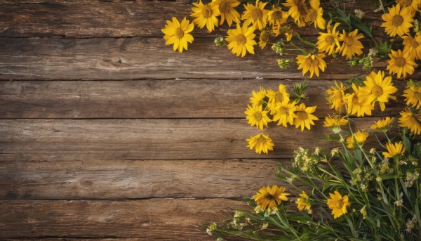 flower,outdoors,day,no humans,plant,scenery,wooden floor,yellow flower,road,still life,bird,leaf,grass,sunflower,field