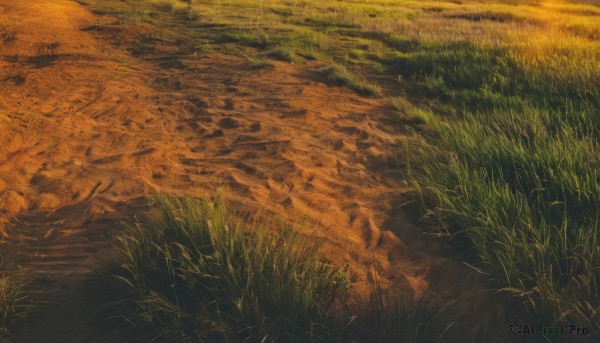 outdoors,tree,no humans,traditional media,grass,nature,scenery,sunset,road,field,river,landscape,path