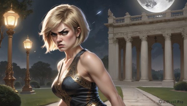 1girl,solo,breasts,looking at viewer,short hair,blue eyes,blonde hair,cleavage,bare shoulders,medium breasts,closed mouth,collarbone,upper body,outdoors,sky,sleeveless,tree,lips,muscular,night,moon,star (sky),night sky,full moon,serious,realistic,nose,lamppost,pillar,angry