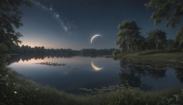 outdoors,sky,cloud,water,tree,no humans,night,moon,grass,plant,star (sky),nature,night sky,scenery,forest,starry sky,reflection,crescent moon,river,lake,reflective water,flower,landscape