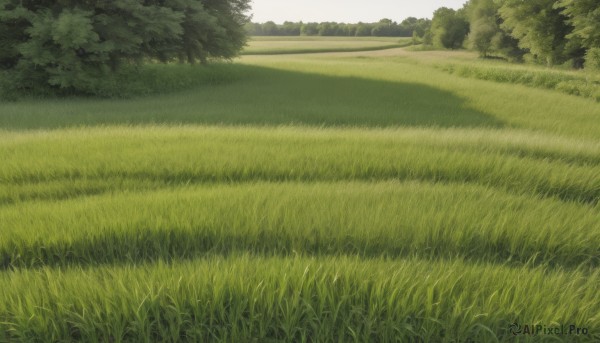 A landscape framed by the beauty of a lush day