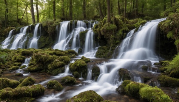 outdoors,day,water,tree,no humans,sunlight,nature,scenery,forest,rock,river,waterfall,landscape,artist name,signature,moss,stream